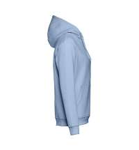 Толстовка с капюшоном унисекс PHOENIX 320