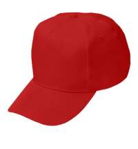 Бейсболка Fortuna, 5 клиньев, застежка на липучке
