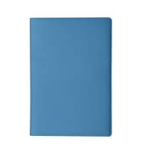 Обложка для паспорта Simply, 13.5 х 19.5 см, голубая, PU