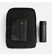 Набор Flexpen Travel, черный с желтым