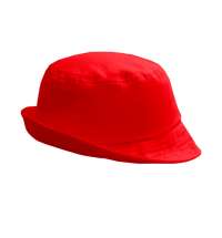 Хлопковая панама BRIM 250