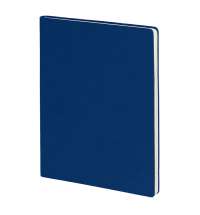 Бизнес-блокнот BIGGY, формат B5,  в клетку