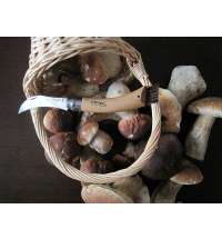 Нож грибника Opinel No 8, бук