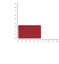 Лейбл кожаный Pasek, M, красный