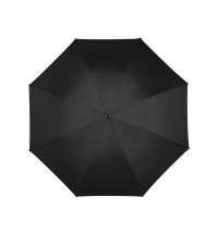 Зонт-трость &laquo;Cardew&raquo;