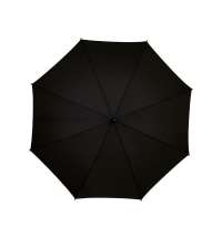 Зонт-трость &laquo;Spark&raquo;