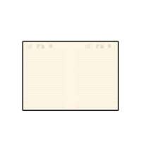 Ежедневник недатированный А5 &laquo;Trend&raquo;