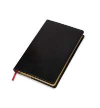 Ежедневник полудатированный портфолио А5 &laquo;Profy&raquo;