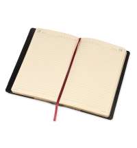 Ежедневник полудатированный портфолио А5 &laquo;Profy&raquo;