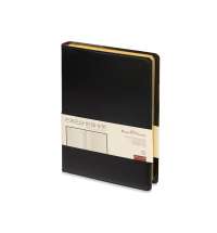 Ежедневник полудатированный портфолио А5 &laquo;Profy&raquo;