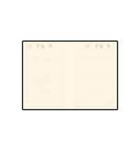 Ежедневник недатированный B5 &laquo;Tintoretto New&raquo;