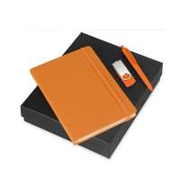 Подарочный набор Vision Pro Plus soft-touch с флешкой, ручкой и блокнотом А5