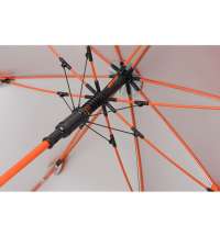 Зонт-трость &laquo;Silver Color&raquo;