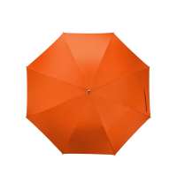 Зонт-трость &laquo;Silver Color&raquo;