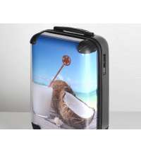 Чемодан прозрачный &laquo;Visit&raquo;  со сменной вставкой