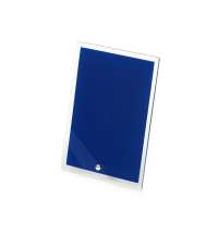 Награда &laquo;Frame&raquo;