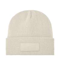 Шапка &laquo;Бореас&raquo; с нашивкой