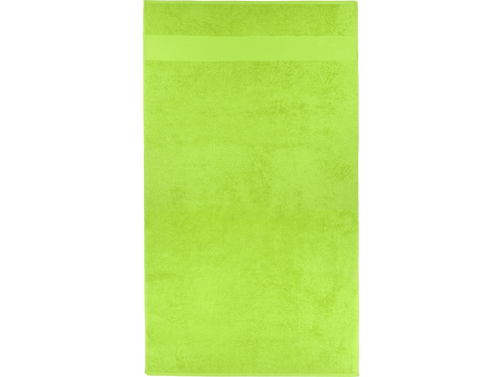 Полотенце &laquo;Terry 450&raquo;, L