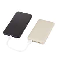 Внешний аккумулятор &laquo;Reserve Pro&raquo;,10 000 mAh