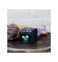 Набор для выращивания &laquo;Small village cube &laquo;Эхиноцереус&raquo;