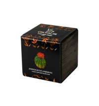 Набор для выращивания &laquo;Small village cube &laquo;Эхинокактус Альбинос&raquo;