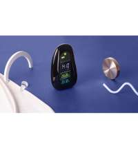 Метеостанция &laquo;StoneCast 1 WTS&raquo;