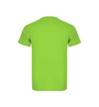 Спортивная футболка &laquo;Montecarlo&raquo; мужская