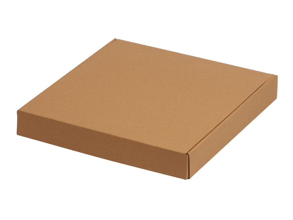 Пластиковые настенные часы &laquo;Carte blanche&raquo;