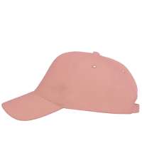 Бейсболка &laquo;Florida 350&raquo;