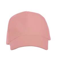 Бейсболка &laquo;Florida 350&raquo;