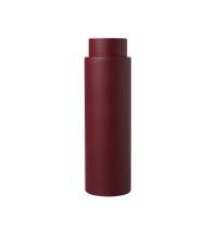 Вакуумный термос с медной изоляцией &laquo;Torso&raquo;, 480 мл