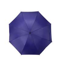 Зонт-трость &laquo;Concord&raquo;