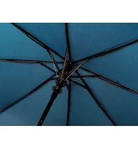 Зонт-полуавтомат складной &laquo;Roof&raquo; с куполом из переработанного пластика