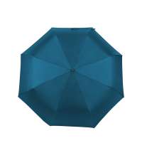 Зонт-полуавтомат складной &laquo;Roof&raquo; с куполом из переработанного пластика