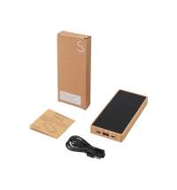 Внешний аккумулятор с подсветкой лого и солнечной панелью &laquo;Reedia S1&raquo;, 10000 mAh