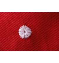 Панама &laquo;Hanoi&raquo;, унисекс