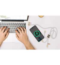 Кабель для быстрой зарядки на 2,4 А с двумя светящимися логотипами