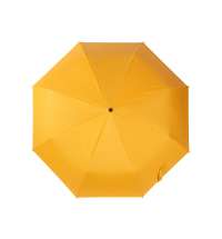 Зонт-автомат &laquo;Dual&raquo; с двухцветным куполом