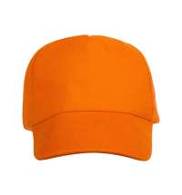 Бейсболка &laquo;Florida 350&raquo;