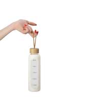 Бутылка из боросиликатного стекла &laquo;Hangy&raquo;, 550 мл