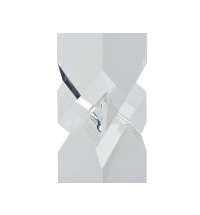 Награда &laquo;Starlight&raquo;