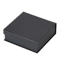 Награда &laquo;Triumph&raquo;