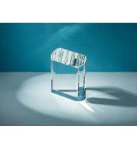 Награда &laquo;Triumph&raquo;