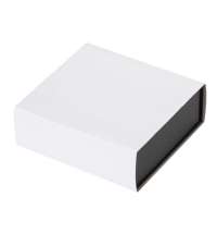 Награда &laquo;Triumph&raquo;