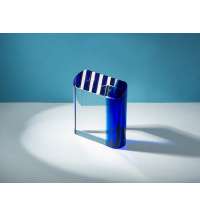 Награда &laquo;Triumph&raquo;