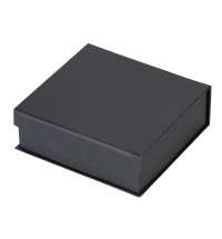 Награда &laquo;Triumph&raquo;