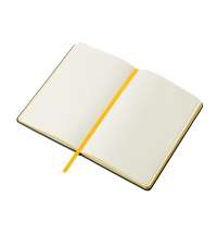 Бизнес блокнот А5 &laquo;Босси Джуниор&raquo;