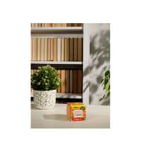 Набор для выращивания &laquo;Бархатцы&raquo;