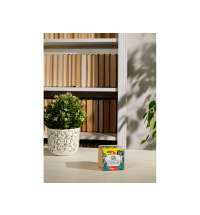 Набор для выращивания &laquo;Ель Голубая&raquo;