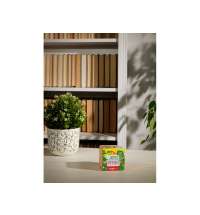 Набор для выращивания &laquo;Мята&raquo;